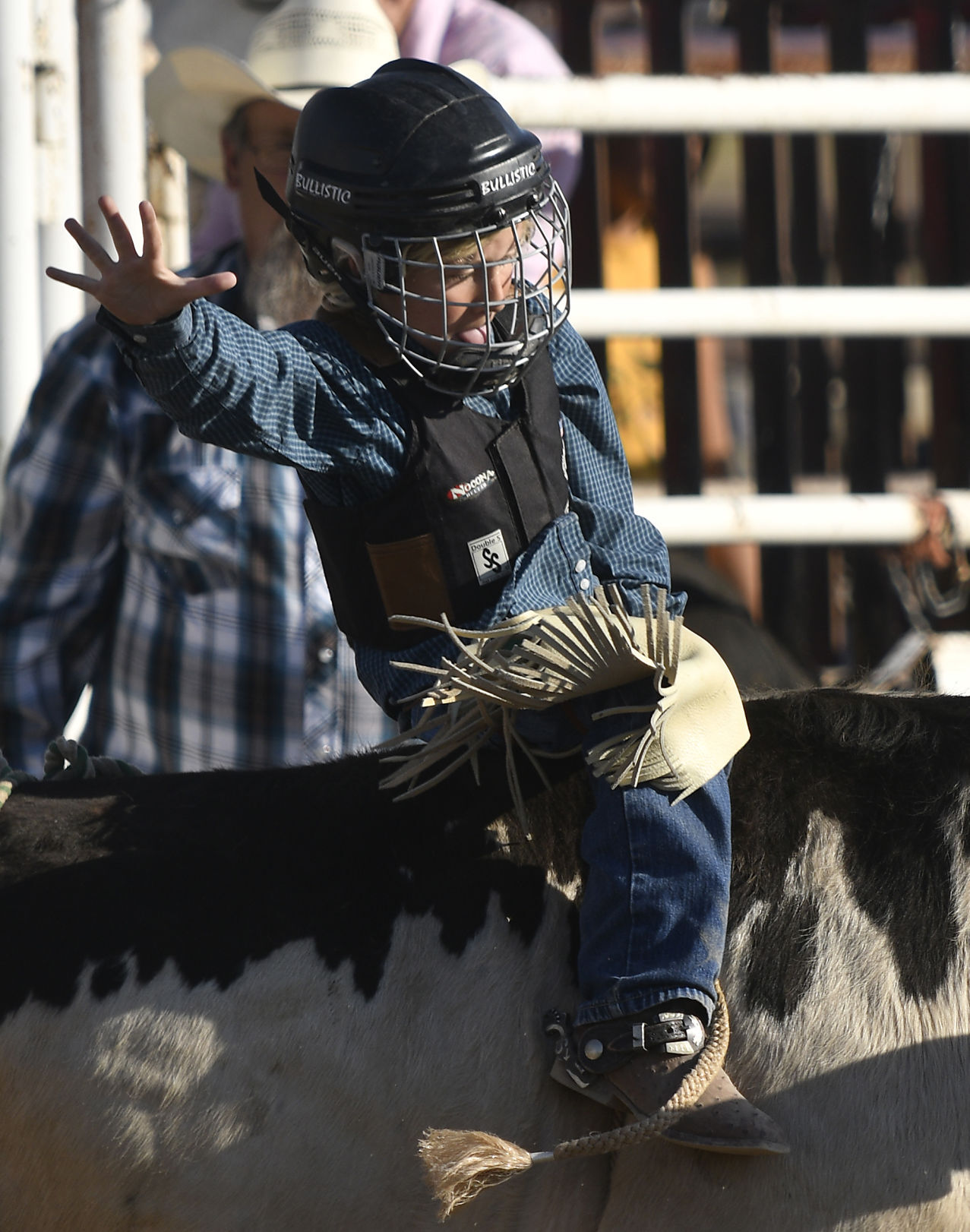 Lincoln County Mini Bull Riding
